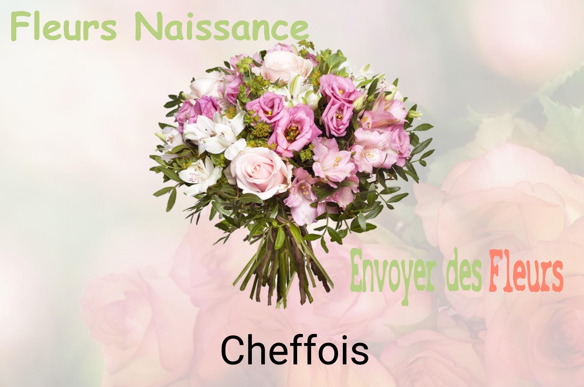 Bouquet de fleurs de naissance livré à Cheffois